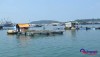 Khu vực vùng biển xã Bình Thuận, H.Bình Sơn (Quảng Ngãi), nơi người dân nuôi cá lồng bè bị chết hàng loạt ẢNH: HIỂN CỪ