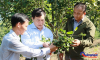 Bí thư huyện ở Quảng Ngãi chấp nhận “cởi áo từ quan” nếu mô hình trồng cây làm giàu thất bại